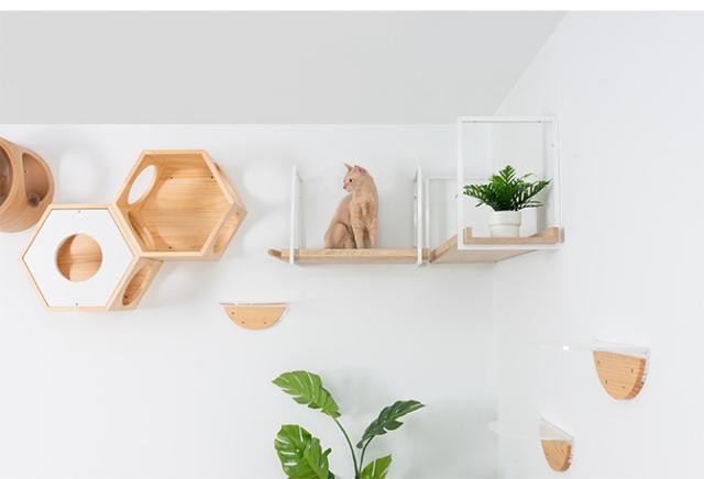 MYZOO マイズー AVENUE 60cm  猫用 猫 キャットステップ キャットウォーク 壁付け 天井付け キャット ステップ ウォーク 北欧  