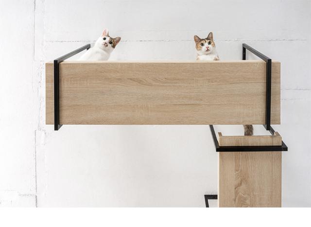 MYZOO マイズー AVENUE 100cm  猫用 猫 キャットステップ キャットウォーク 壁付け 天井付け キャット ステップ ウォーク 北欧  