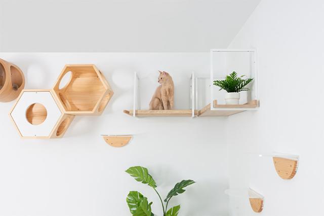 MYZOO マイズー AVENUE 100cm  猫用 猫 キャットステップ キャットウォーク 壁付け 天井付け キャット ステップ ウォーク 北欧  