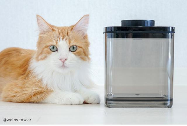 ANKOMN アンコムン 真空保存容器 ターンシール 2.4L 