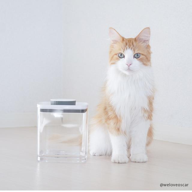 ANKOMN アンコムン 密閉保存容器 エバーロック 0.3L 