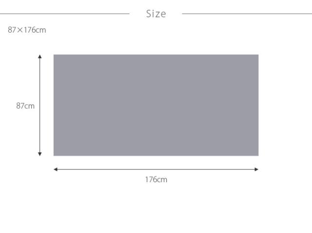 ペットにやさしい平織カーペット ラウム 江戸間1帖 