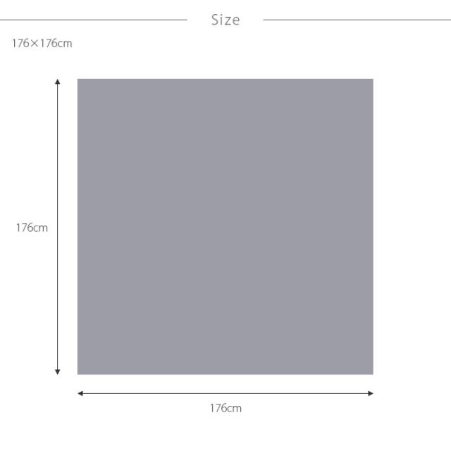 ペットにやさしい平織カーペット ラウム 江戸間2帖 