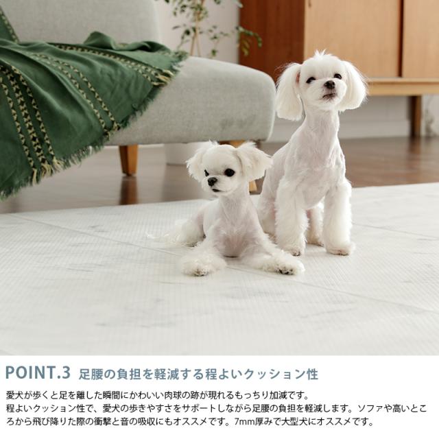 dfang ディパン 引っ掻きに強い防水クッションマット 140×120cm