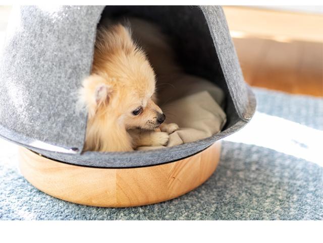 Fumi フミ ペットの家  猫用 犬用 ペットベッド ベッド ハウス 屋根付き 猫ハウス 猫ベッド おしゃれ  