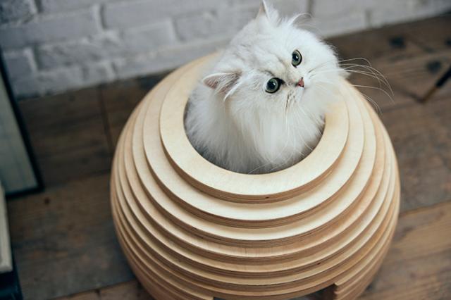 FrancePet フランスペット PE05 ねこハウス まり  猫用 猫ベッド ペットベッド ハウス 猫ハウス 木製 ボール型 おしゃれ  