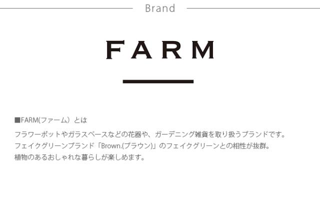 FARM ファーム ワイヤーフロートポット  鉢カバー ポットカバー 観葉植物 フェイクグリーン ディスプレイ ボタニカル 植物 多肉植物 インテリア おしゃれ  