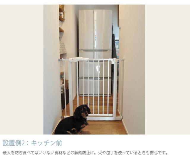 uminecco ウミネッコ ツヤ消し スチールゲート