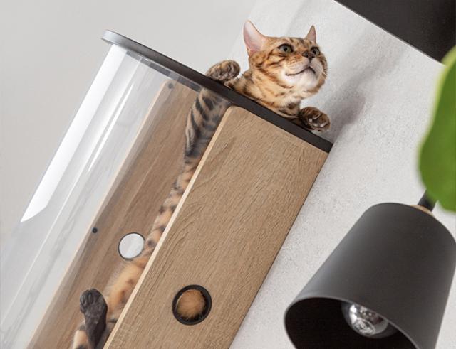 MYZOO マイズー Tunnel  猫用 猫 キャットステップ キャットウォーク クリア 透明 おしゃれ 壁掛け キャットベッド 北欧  