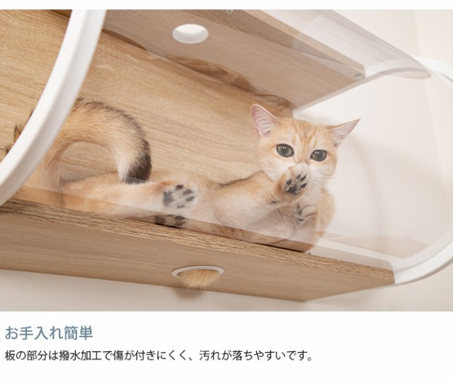 MYZOO マイズー Tunnel  猫用 猫 キャットステップ キャットウォーク クリア 透明 おしゃれ 壁掛け キャットベッド 北欧  