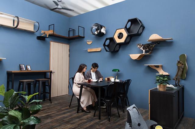 MYZOO マイズー Seawead 爪とぎ