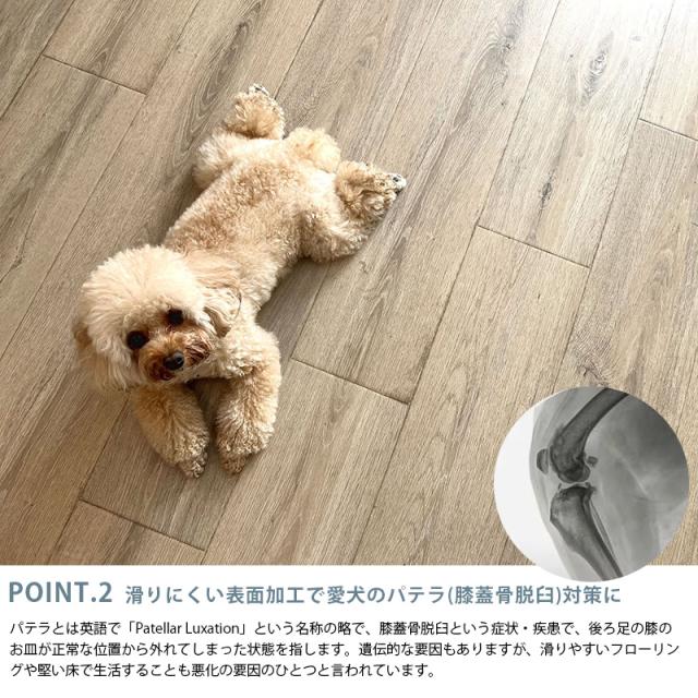 dfang ディパン ペット専用防水クッションマット 100×120cm