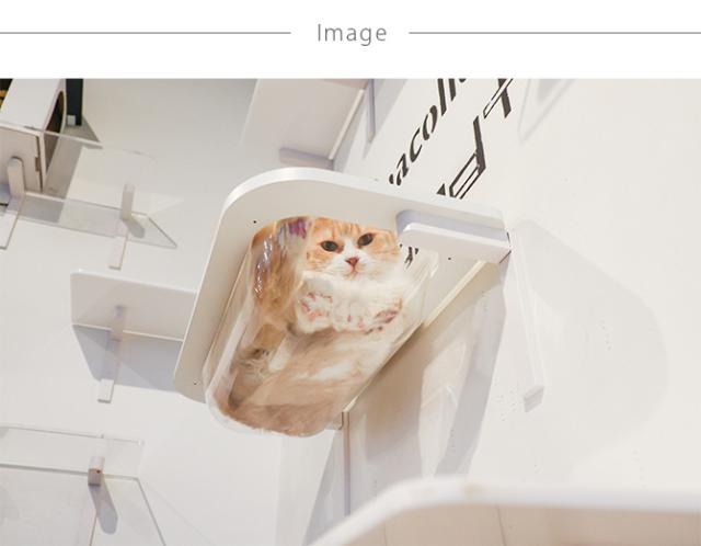 animacolle アニマコレ  Catroad+  キャットバス  猫 賃貸 小さい穴 猫 ステップ 壁 上下運動 animacolle アニマコレ ベッド おしゃれ シンプル クリア　透明  