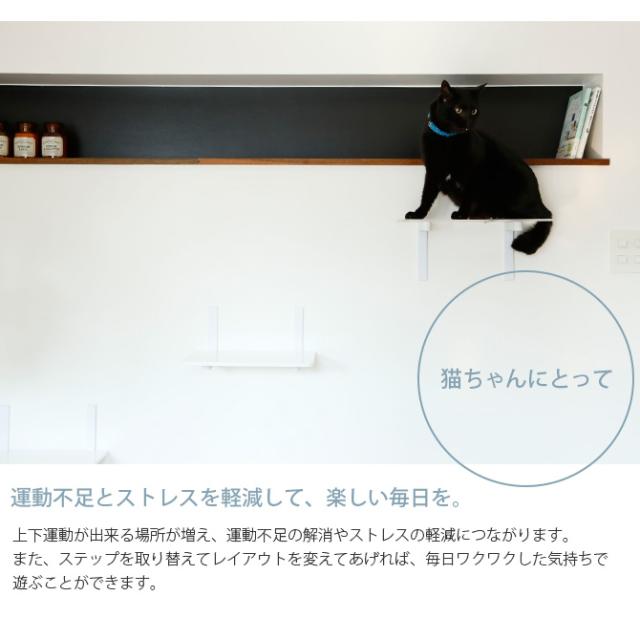 animacolle アニマコレ  Catroad+  キャットバス  猫 賃貸 小さい穴 猫 ステップ 壁 上下運動 animacolle アニマコレ ベッド おしゃれ シンプル クリア　透明  