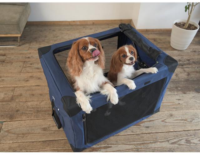 Wanyanya わにゃにゃ ペットクレートLサイズ 犬 クレート ケージ ハウス シンプル おしゃれ グレー ネイビー コンパクト 避難 災害時