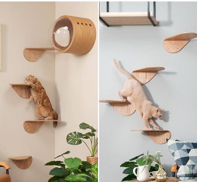 MYZOO マイズー キャットステップ LACK TILT  猫 キャットステップ コンパクト 木製 おしゃれ コンパクト  