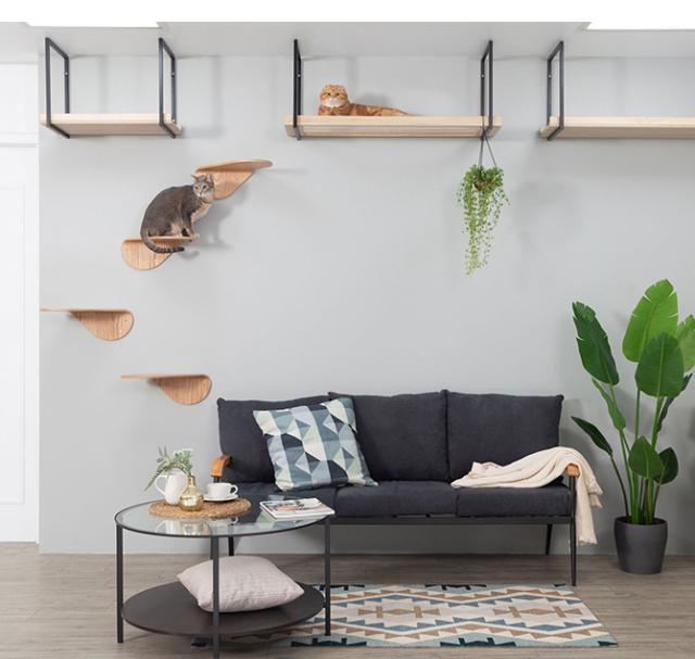 MYZOO マイズー キャットステップ LACK TILT  猫 キャットステップ コンパクト 木製 おしゃれ コンパクト  