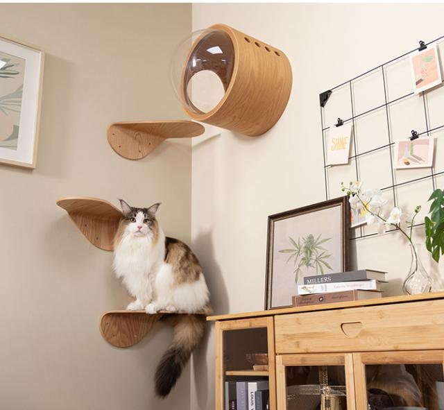 MYZOO マイズー キャットステップ LACK TILT  猫 キャットステップ コンパクト 木製 おしゃれ コンパクト  