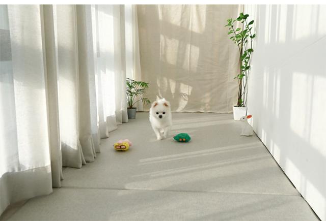 ペットマット2枚セット 140×180cm  犬用 ペットマット 