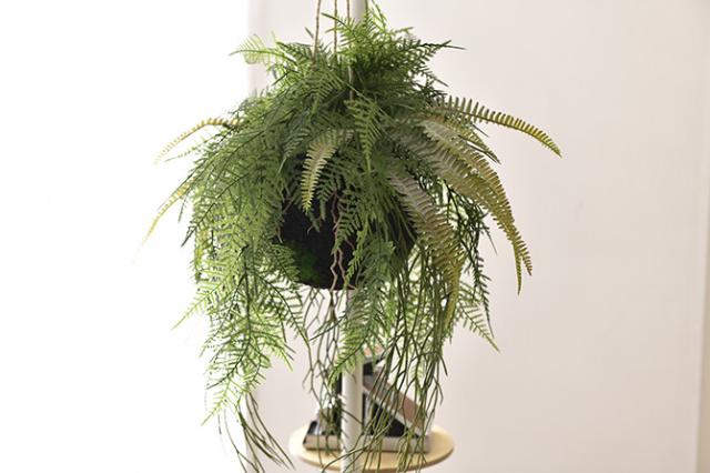 Brown. ブラウン フェイクグリーン ファーン ハンギングボール 65 