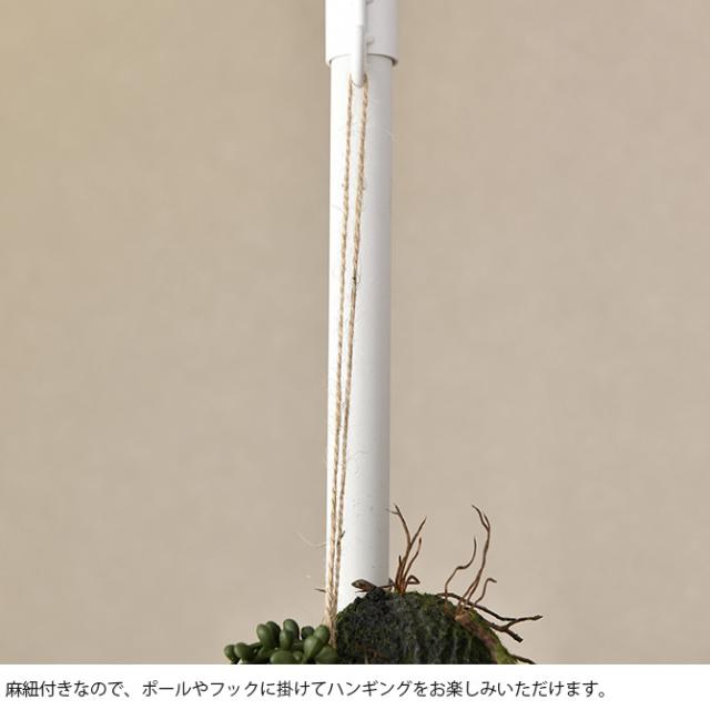 Brown. ブラウン フェイクグリーン グリーンネックレス ハンギングボール 57 