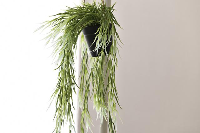 Brown. ブラウン フェイクグリーン リプサリス FL ハンギングポット 