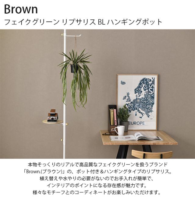 Brown. ブラウン フェイクグリーン リプサリス BL ハンギングポット 