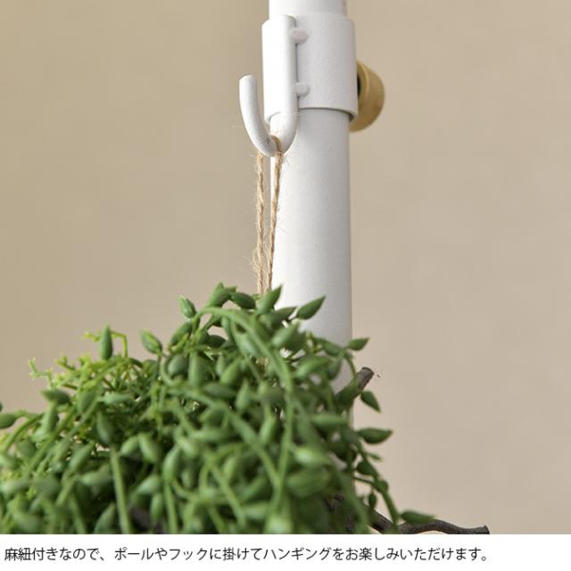 Brown. ブラウン フェイクグリーン グリーンネックレス 着生  