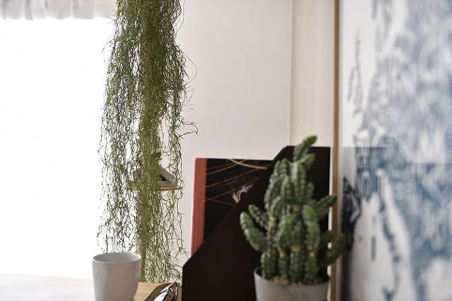 Brown. ブラウン フェイクグリーン スパニッシュモス ハンギングブッシュ グリーン 152 