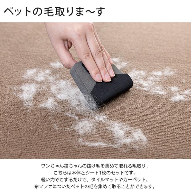 ペットの毛取りま〜す 