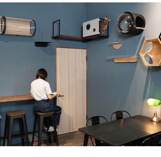 MYZOO マイズー AVENUE カバー M  猫用 キャットステップ カバー MYZOO AVENUEカバー カバー 目隠し 隠れ家 おしゃれ ユニセックス  