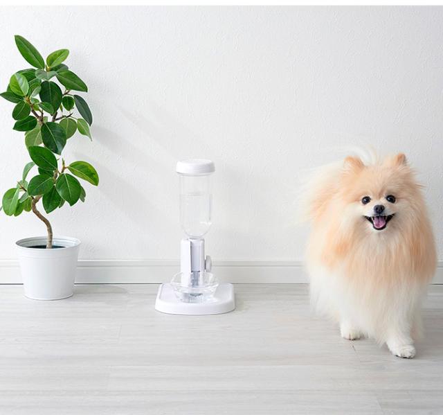 Bonbi ボンビ ラクリアスタンド  猫用 犬用 ペット用 給水器 自動 お手入れ簡単 ホワイト　クリア　白　透明 シンプル おしゃれ 電気不要  