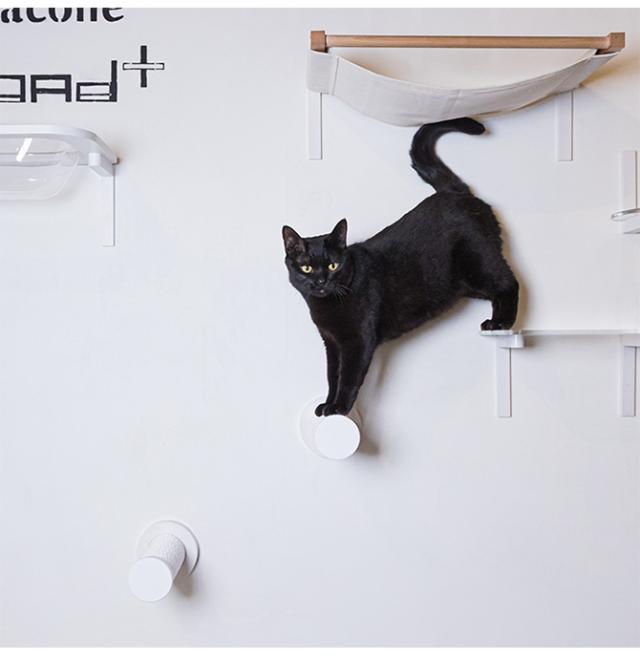 animacolle アニマコレ キャットスティック 