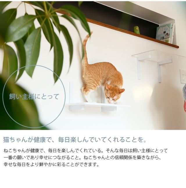 animacolle アニマコレ キャットスティック 