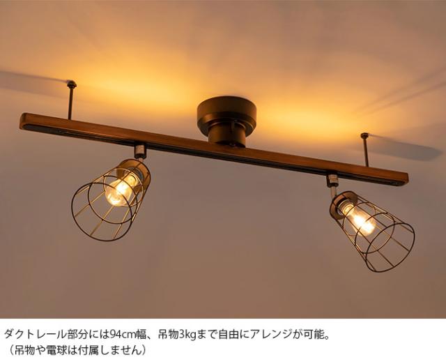 BRID ブリッド GENERAL 簡易取り付け照明用ダクトレール LEDライト付き  ダクトレール LEDライト 照明 リモコン 調色 間接照明 電球色 昼白色 おしゃれ インテリア  