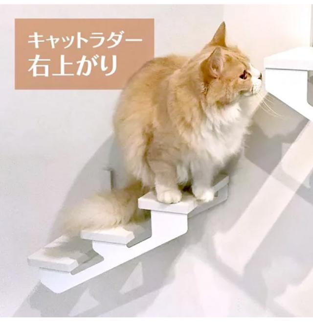 animacolle アニマコレ キャットラダー  キャットステップ 猫用 猫 ステップ 階段 シンプル おしゃれ 白 モノトーン 賃貸  