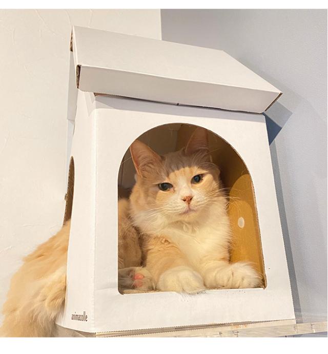 animacolle アニマコレ キャットハウス 