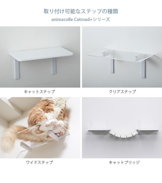 animacolle アニマコレ キャットハウス 