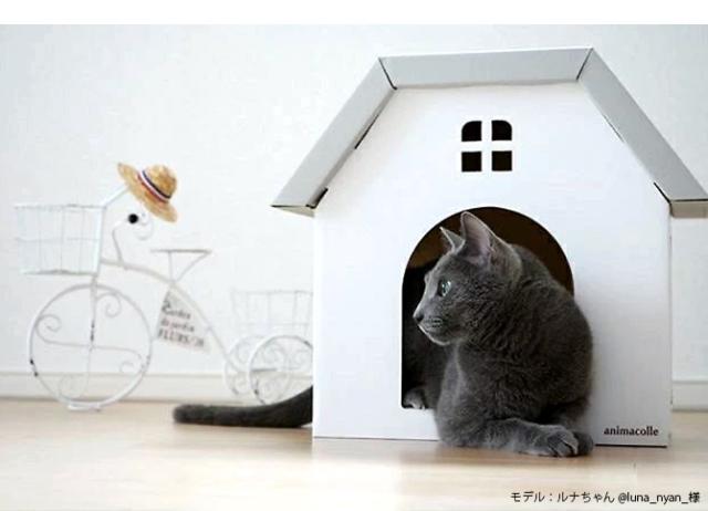 animacolle アニマコレ キャットハウス 