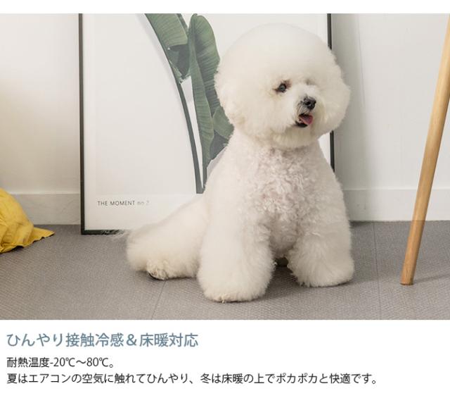 dfang ディパン ペット専用マット　ラグタイプ　185×140cm