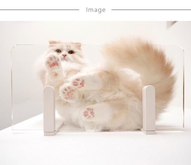 animacolle アニマコレ Catroad+ ワイドステップ 3点セット( 白2、クリア1) 猫 賃貸 小さい穴 キャットステップ キャットウォーク 壁 DIY セット キャットタワー 透明 クリア おしゃれ