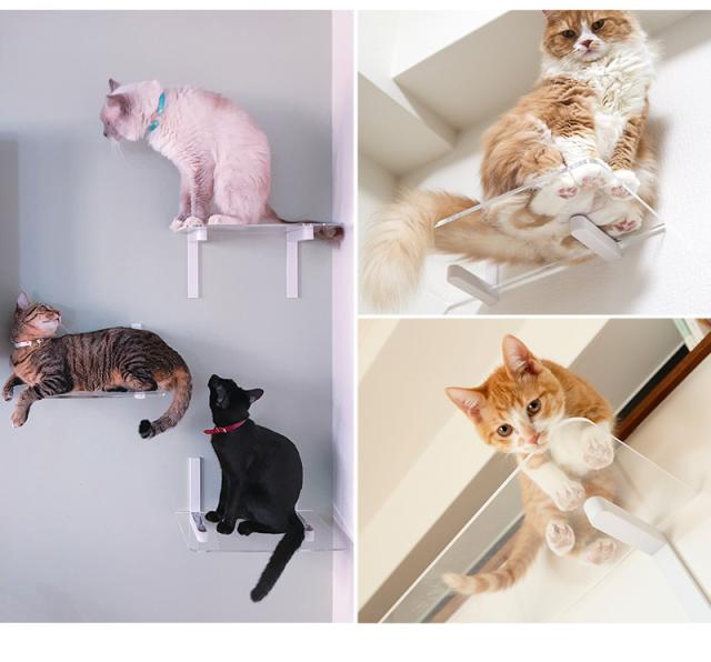 animacolle アニマコレ Catroad+ ワイドステップ 3点セット( 白2、クリア1) 猫 賃貸 小さい穴 キャットステップ キャットウォーク 壁 DIY セット キャットタワー 透明 クリア おしゃれ