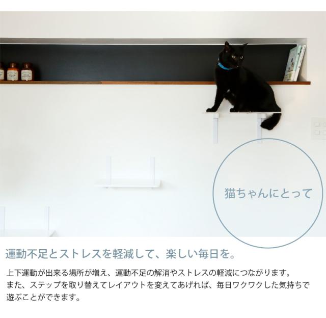 animacolle アニマコレ Catroad+ ワイドステップ 3点セット( 白2、クリア1) 猫 賃貸 小さい穴 キャットステップ キャットウォーク 壁 DIY セット キャットタワー 透明 クリア おしゃれ