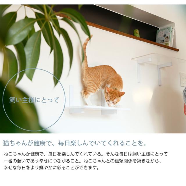 animacolle アニマコレ Catroad+ ワイドステップ 3点セット( 白2、クリア1) 猫 賃貸 小さい穴 キャットステップ キャットウォーク 壁 DIY セット キャットタワー 透明 クリア おしゃれ