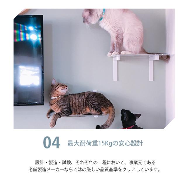 animacolle アニマコレ Catroad+ ワイドステップ 3点セット( 白2、クリア1) 猫 賃貸 小さい穴 キャットステップ キャットウォーク 壁 DIY セット キャットタワー 透明 クリア おしゃれ