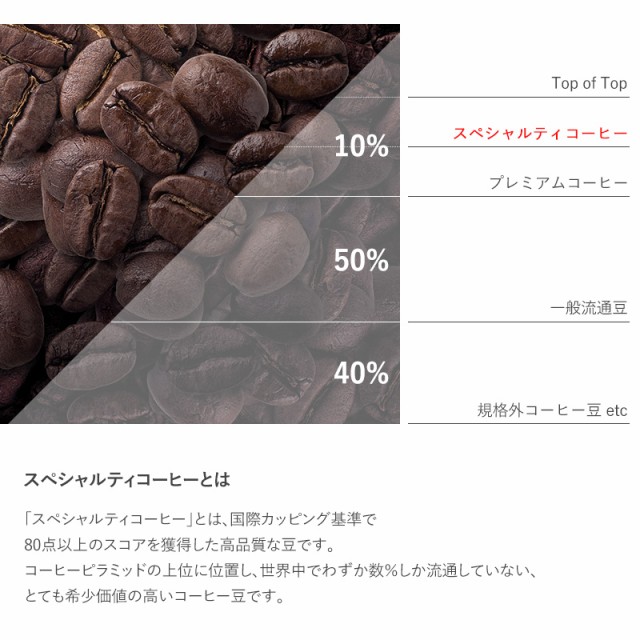 OCEAN ＆ TERRE Speciality Coffee セットA  ドリップコーヒー ドリップバッグコーヒー 詰め合わせ コーヒー ドリップパック 内祝い お返し ご挨拶 ギフト プレゼント  