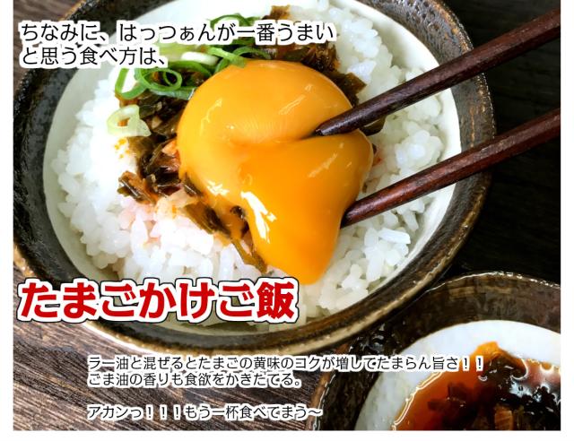 はっつぁん岩ラー下