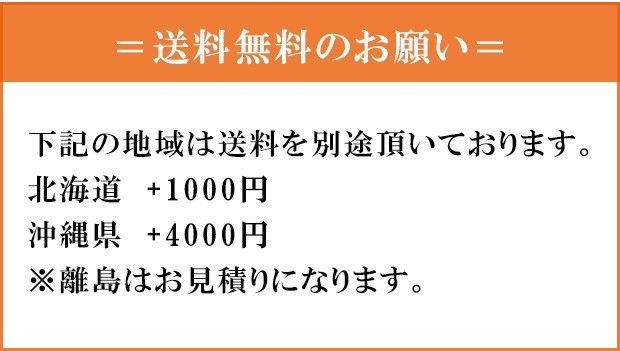 バイク バッテリー 充電器 延命 オプティメート4 デュアル プログラム ver.3 オプティメイト4 12V 全自動 車両ケーブル付  TECMATE（テッの通販はau PAY マーケット - バッテリーのことならザ・バッテリー | au PAY マーケット－通販サイト