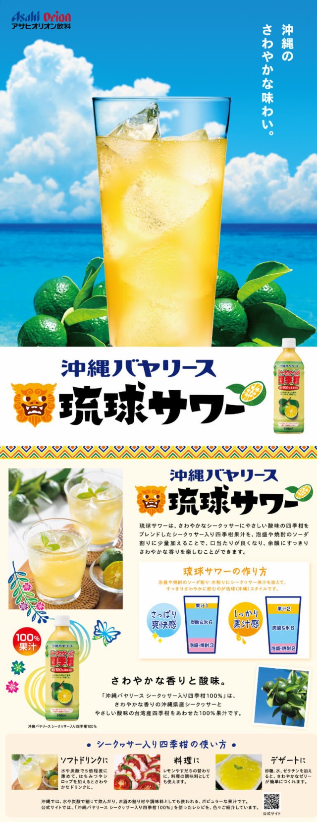 沖縄バヤリース シークヮサー 四季柑 100％ 500ml 12本 原液 ストレート果汁 割材 泡盛 焼酎 虎S｜au PAY マーケット