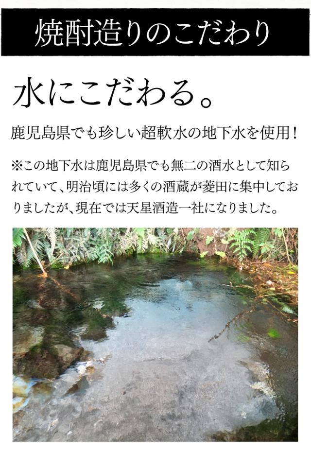 天星ギフトセット